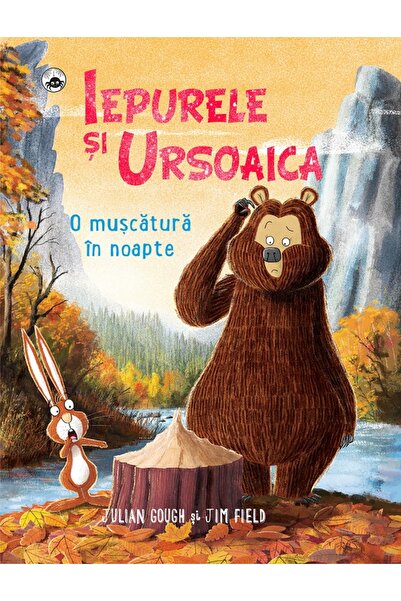 Rao Iepurele si Ursoaica. O muscatura in noapte - Jim Field, Julian Gough
