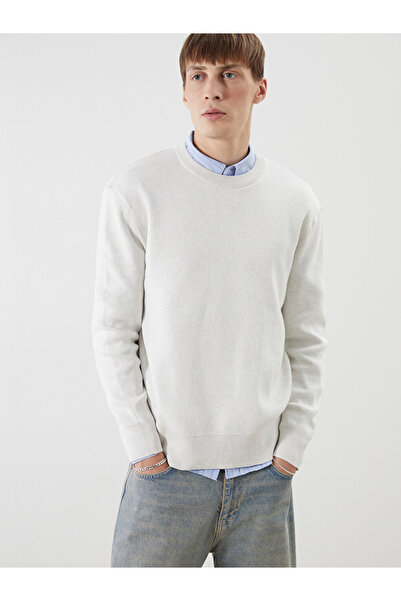LC Waikiki Crew Neck Long Sleeve Men's Tricot Sweater