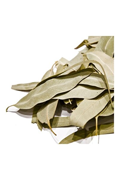 OEM Ευκαλύπτος 50gr