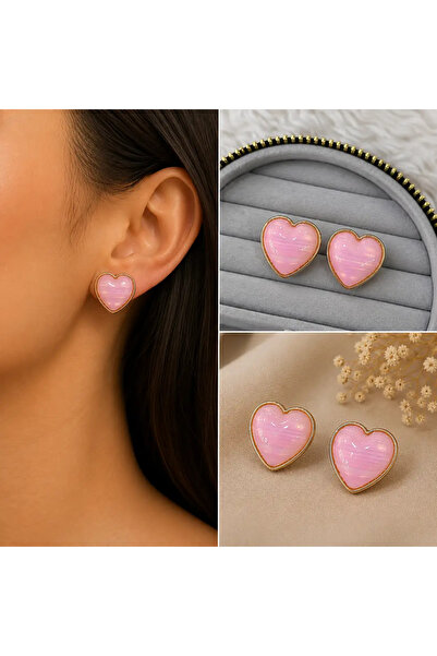 Bozhi Heart Earrings Steel Stylish Gift