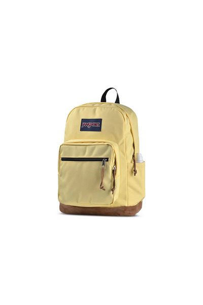 Jansport حقيبة مدرسية كلاسيكية ملونة مع حجرة جلدية للكمبيوتر، حقيبة سفر ضروري...