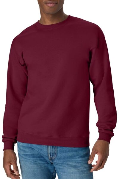 HANES Men's EcoSmart Sweatshirt