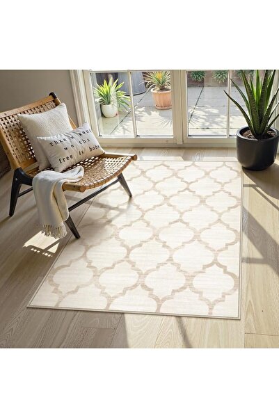 GENERAL Lahome Moroccan Area Rug - 2’x3’Washable Small Entryway Accent Distre...