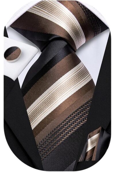 Dubulle Mens Paisely Silk Tie for Men Necktie and Pocket Square Set