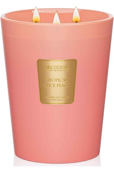 M&SENSE Eucalyptus Sage Scented Candle, 14.1oz 60H Burn Time Slow Burning, Na...