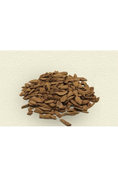AL SAFWA Marrakech Lousi Oud - 12g Resin