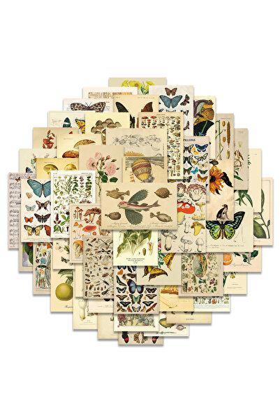 Choice 50pcs 50Pcs Retro Cartoon Flowers Aesthetic Art Stickers Vinyl Laptop ...