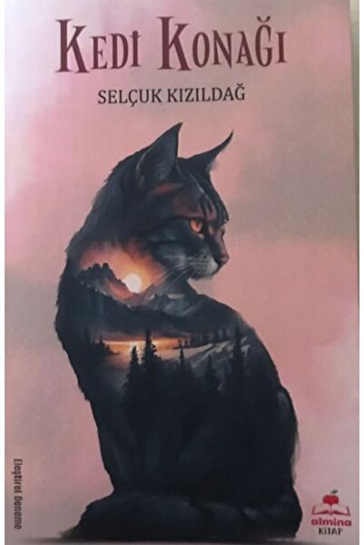 Vefa Yayınları Kedi Konağı