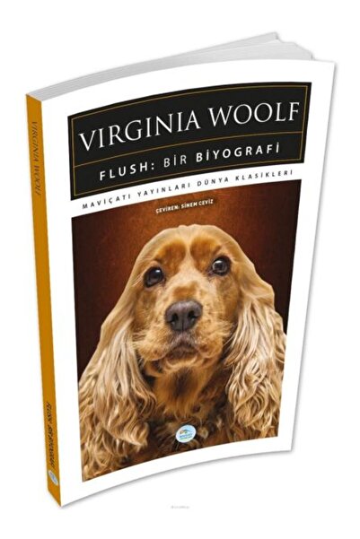Vefa Yayınları Flush: Bir Biyografi