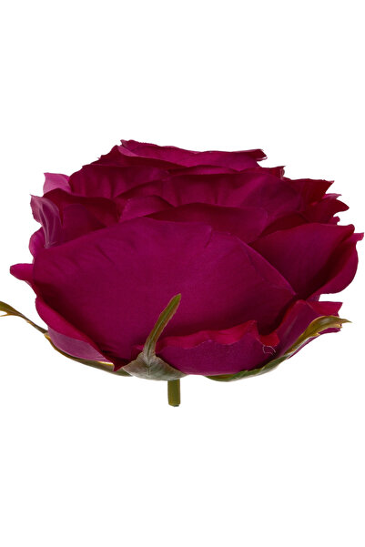 NO BRAND TRANDAFIR DE DECORAȚIE SWEET FUCHSIA, 12 BUCĂȚI, CAP DE FLOARE PREMIUM
