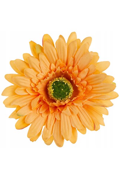 NO BRAND 24 bucăți GERBERA L. DIRECTOR PRODUCȚIE CEAI PORTOCALE
