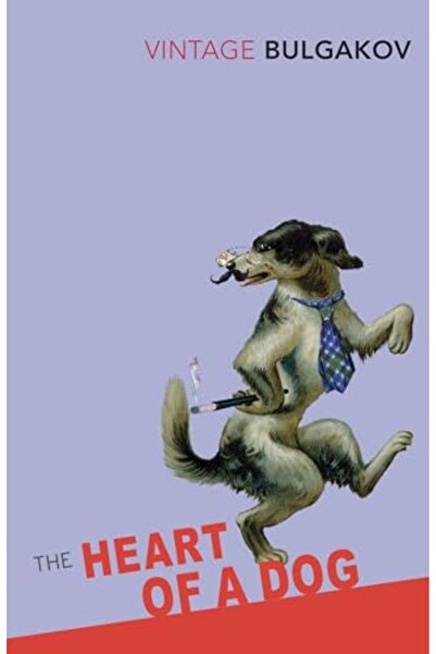 Penguin Random House The Heart Of A Dog (Vintage Classics)