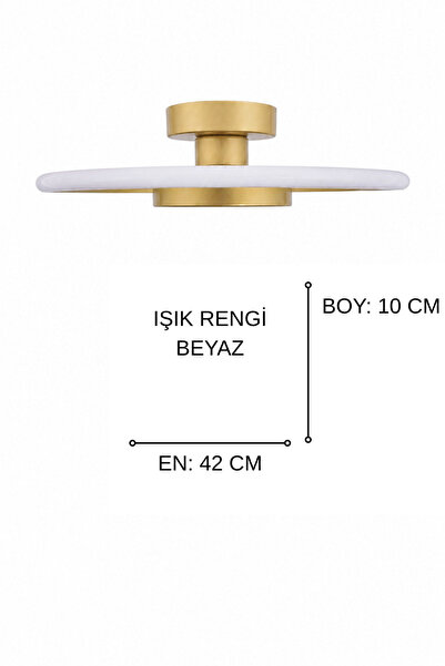 Fer Avize Dümen Tekli Modern Led Avize Beyaz Işık Enerji Tasarruflu Hol Oturma Odası Çocuk Odası Cafe