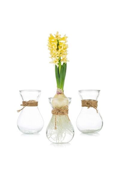 Generic Flower Vases Glass with Twine Rope 3 Pcs/Set Floral Arrangements Arti...