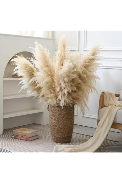 Generic Brand Natural Pampas Grass 10 stems Dried Plants for Home Decoration,...