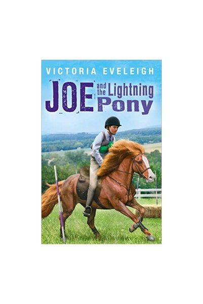Generic (Unbranded) Joe And The Lightning Pony A Boy And His Horses