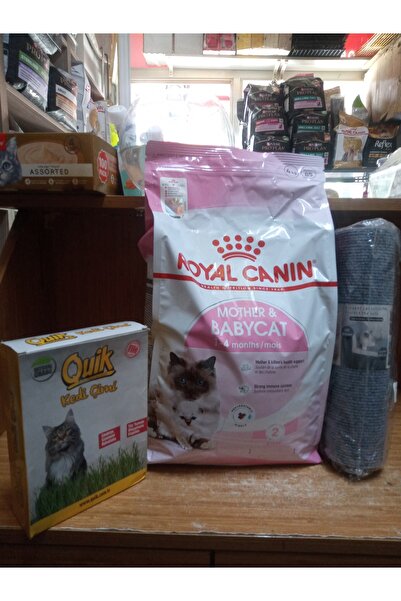 Royal Canin Mother And Babycat Kedi Kuru Maması 4 KG+100X30 CM TIRMALAMA HALI...