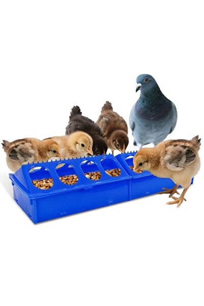 Generic Durable Plastic Poultry Chick Feeder Trough, No-Waste Detachable Disp...