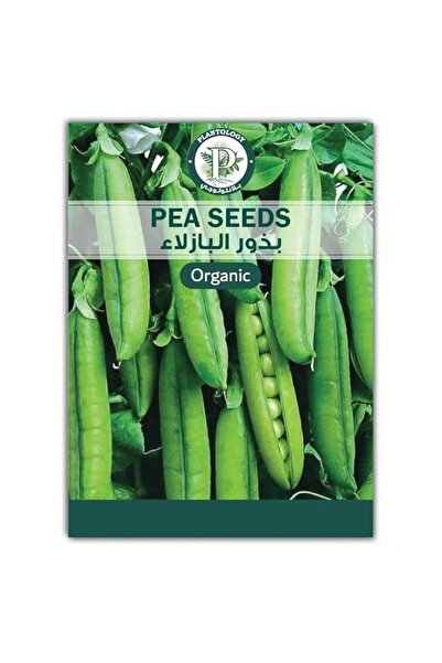 Generic Plantology Lab Pea Seeds for Planting - Green Peas Premium Quality Se...