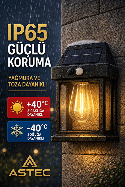ASTEC Solar Hareket Sensörlü Duvar Lambası 20W IP65 Güneş Enerjili Bahçe Apliği Gün Işığı