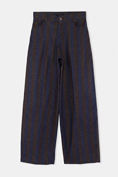 Trendyol Collection Navy Blue Brown Striped Trousers Twoaw27Pl00025