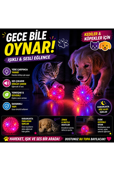 CANSPORT LED IŞIKLI SESLİ KEDİ VE KÖPEK TOPU MASAJ TOPU DİKENLİ DÜDÜKLÜ TOP
