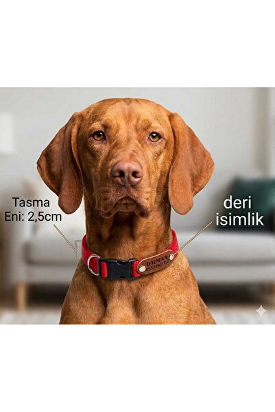 hebmeyy Köpek tasması, köpek boyun tasması kişiye özel, deriye isim yazılı kö...