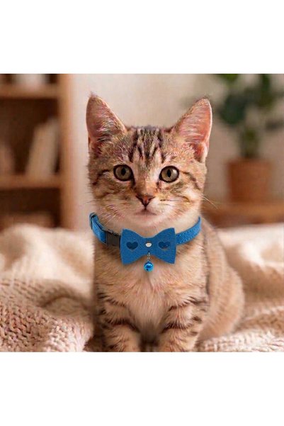 hebmeyy Kedi tasması, papyonlu kedi tasması, fiyonklu kedi tasması, kalpli ke...