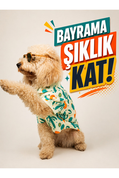 Buf & Buf Kedi Köpek Kıyafeti Gömleği Cactus Paw İlkbahar Yaz Pamuklu Kumaş