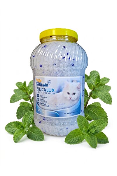 Vitamix SilicaLux Silicat Premium, cu aroma de Menta, 5.7 Litri