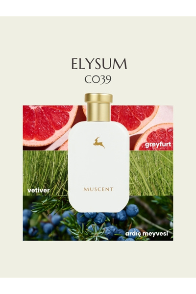 MUSCENT C039 Elysum 50 ml.