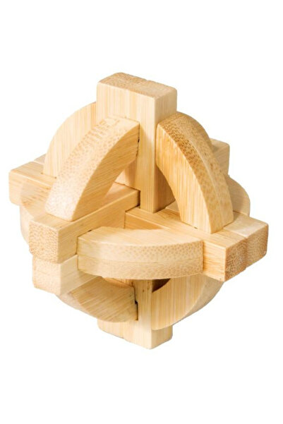Fridolin Joc logic IQ Puzzle 3D Disc dublu