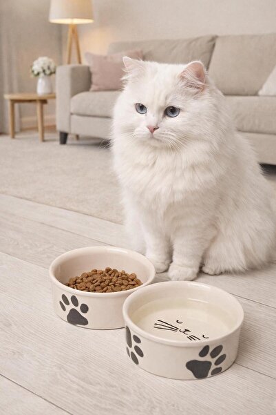 2'li Seramik Kedi köpek mama kabı (300ml)