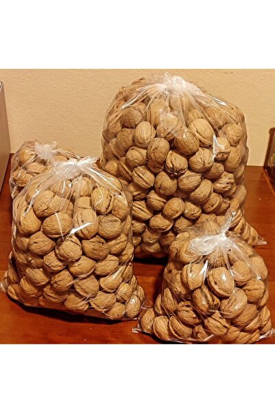 GEDEMENLİ KAHRAMANMARAŞ KABUKLU CEVİZ (MARAŞ 18) 5 KG