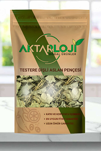 aktarloji 500 Gr Aslan Pençesi Çayı ( Aslan Ayağı , Testere Dişli ) Aslanpenç...