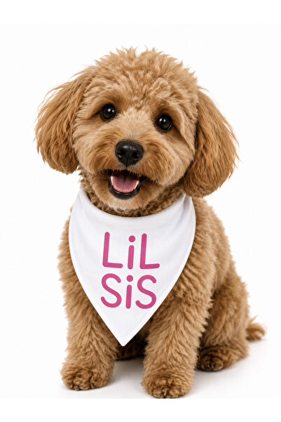 LIWOGY Lil Sis & Lil Bro Written Dog Scarf Bandana