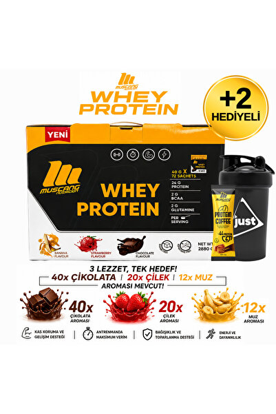 Mustang Nutrition مسحوق بروتين مصل اللبن 72 كيس 2880 جرام نكهات متنوعة + شيكر...