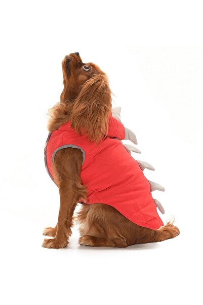Petza Small and Medium Breed Dog Jacket - Dino Red