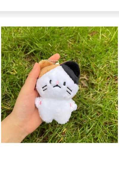 Trendikon kpop enhypen peluş anahtarlık oyuncak 10cm süpriz hediyeli çanta sü...
