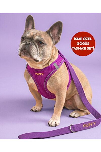 LUSİ-DOOG Kişiye Özel 2'li Köpek Tasma Seti İsimli Airmesh Köpek Göğüs Tasmas...