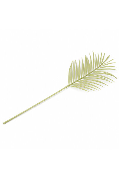 Blends palm leaf decoration form Azha