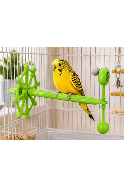 PatiNova Bird Play Wheel Green