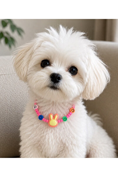 Pawellia.co Stylish Design Cat Collar Cat Necklace Small Breed Dog Collar Dog...