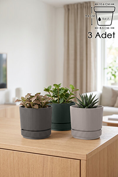 ToXA 3 Adet Pera Kare Saksı No1 0,6 Litre Çok Renkli 10,6cm Mini Boy Plastik ...