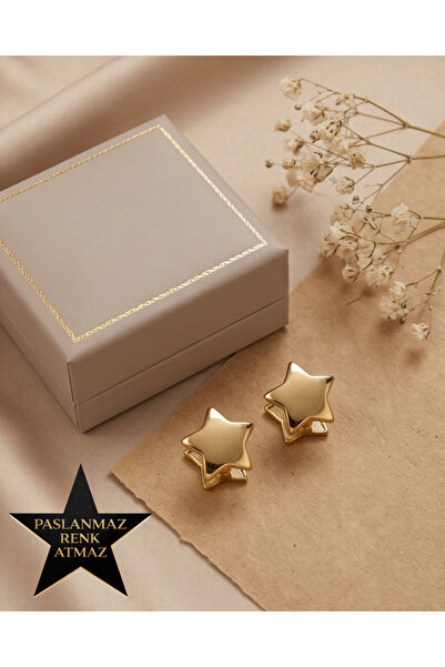 stainless steell 316L Steel Women's Star Earrings