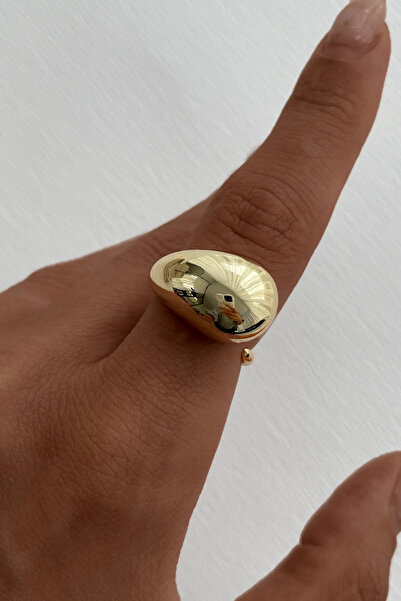 Leo'Stone Premium Series Polished Droplet Design Women's Steel Ring