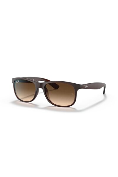 Ray-Ban Rb 4202 607313 55 Men's Sunglasses