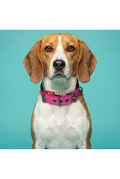 Tailpetz Soft Textured Dog Collar - Comfortable and Durable, Comfortable Pink