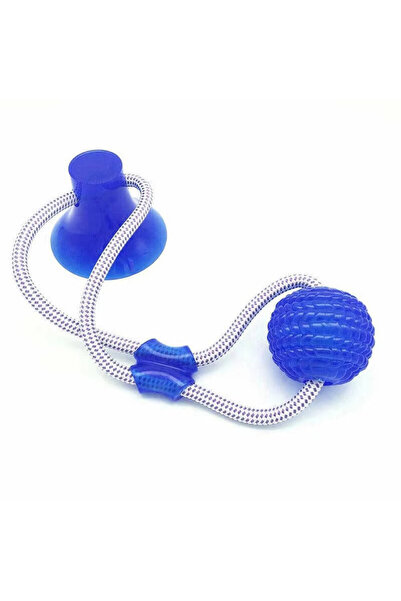 Choice1 Blue Strong Suction Cup Dog Ball Interactive Tug Rope Toy For Medium ...