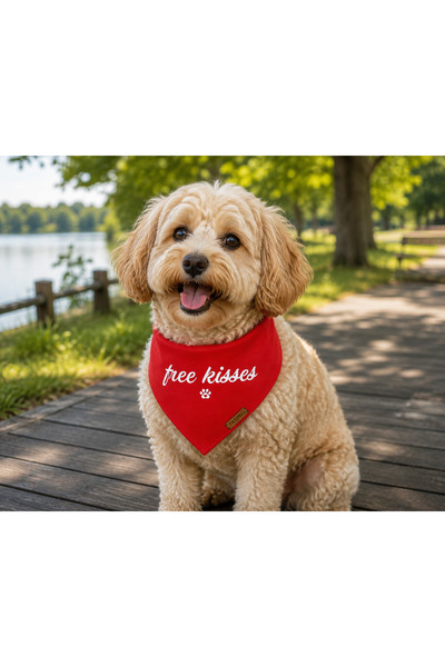 PATİMİO Free Kisses Cat and Dog Collar Scarf Bandana